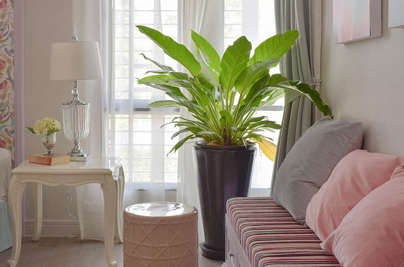 Garni & Privatzimmer